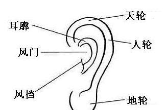 耳 相|从耳朵看面相｜5点耳朵形状及特征，一窥性格与运